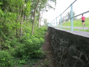 View of the old Briackyard Lane roadbed near the 17th CVI monument
